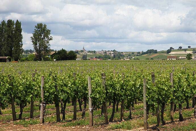 Château Barrail du Blanc