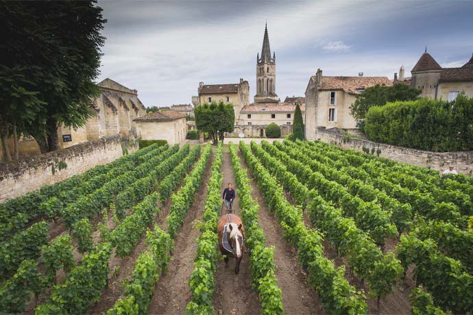 Château Canon Château Canon