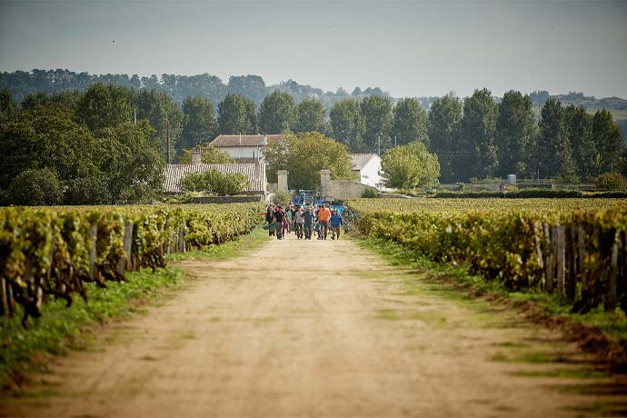 Château Coutet Château Coutet