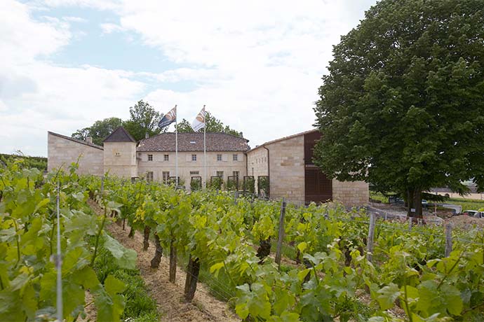 Château Franc Mayne Château Franc Mayne