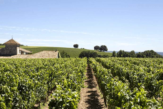 Château La Serre Château La Serre