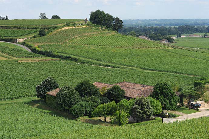 Château Moulin Saint-Georges