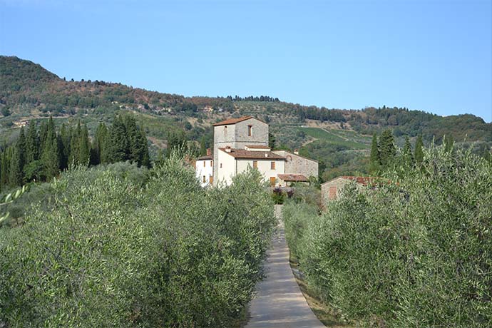 Fattoria di Basciano Fattoria di Basciano