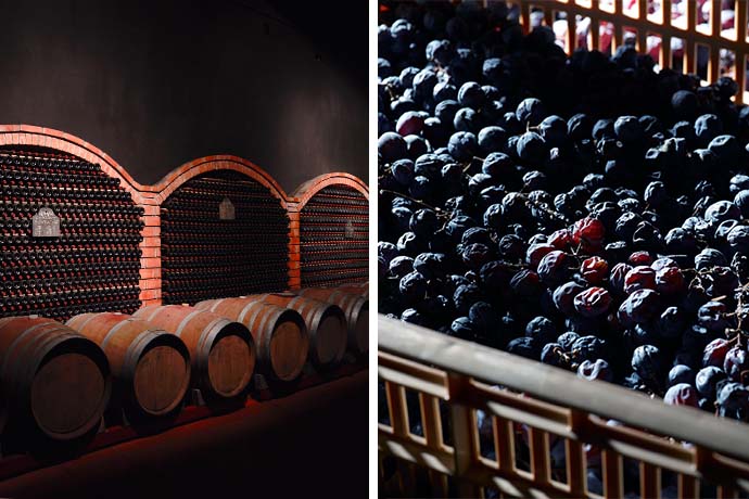 Montresor