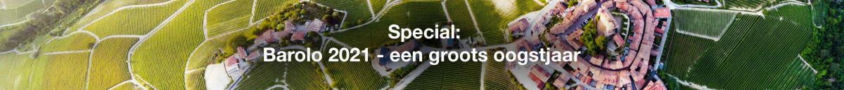 Barolo 2021: een groots oogstjaar