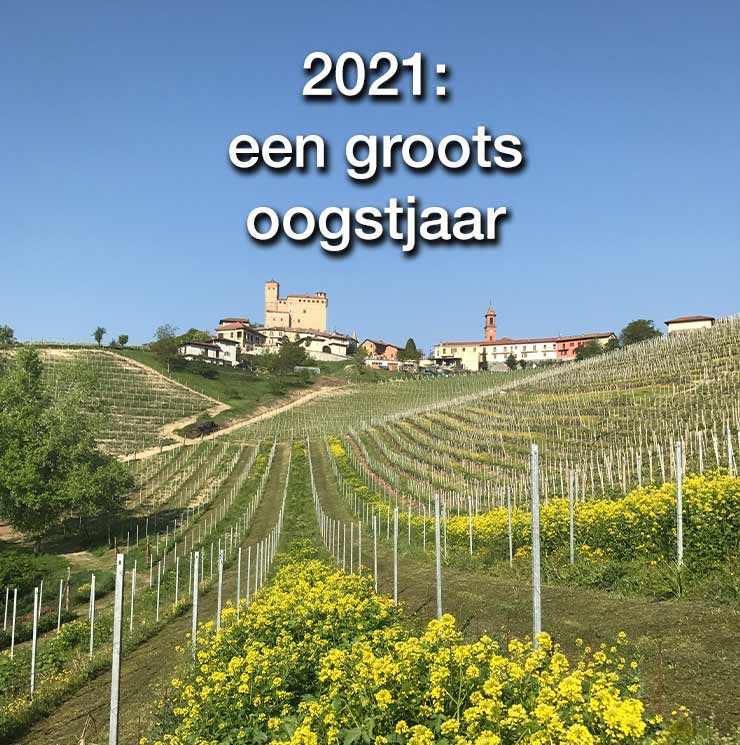 Barolo 2021: een groots oogstjaar
