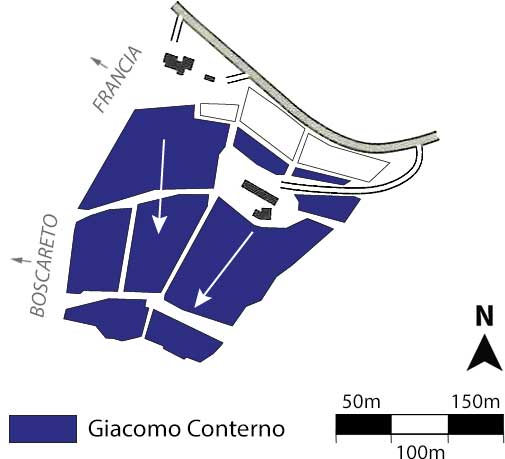Arione