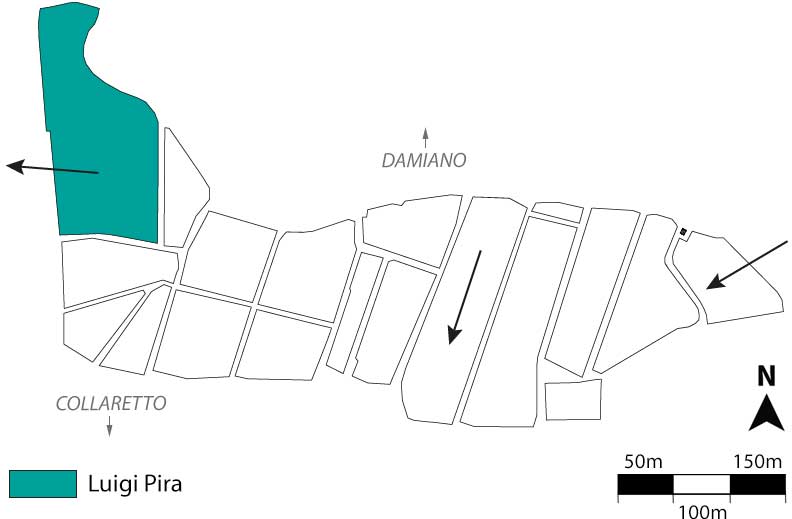 Vignarionda