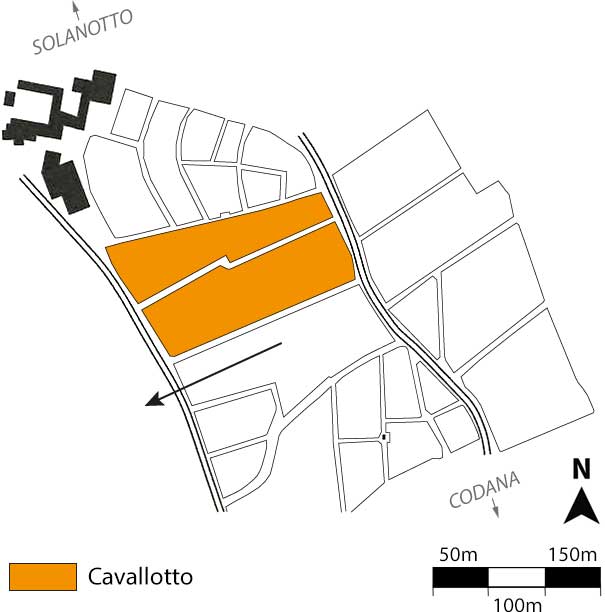 Vignolo