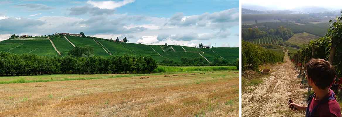 Bricco Ambrogio