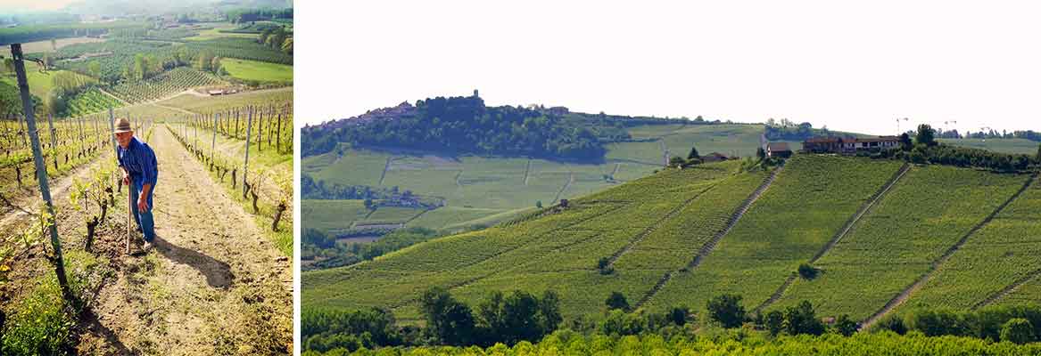 Bricco Ambrogio
