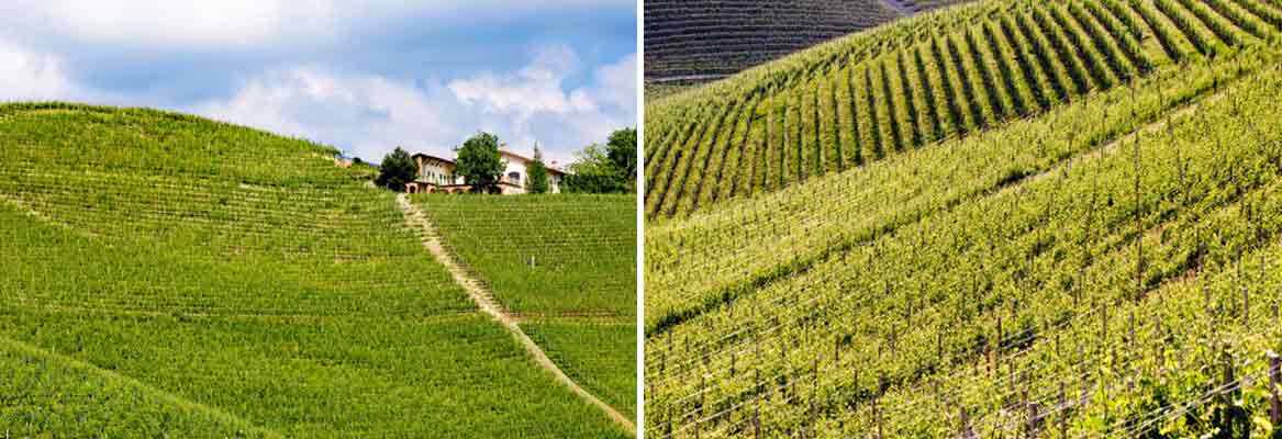 Bricco Boschis Bricco Boschis