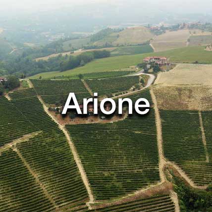 Arione