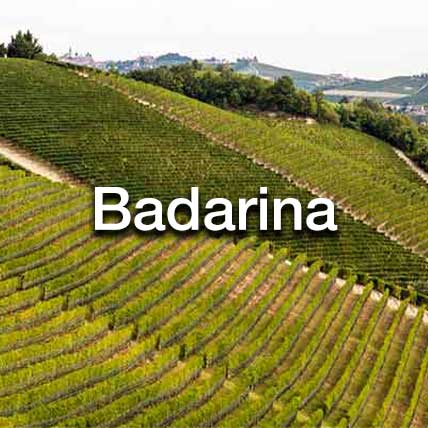 Badarina
