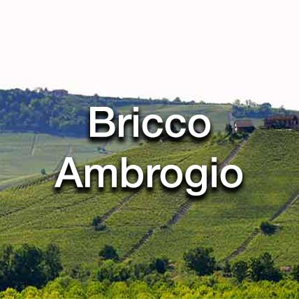 Bricco Ambrogio