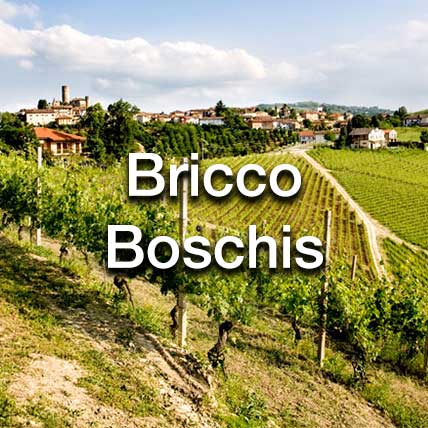 Bricco Boschis