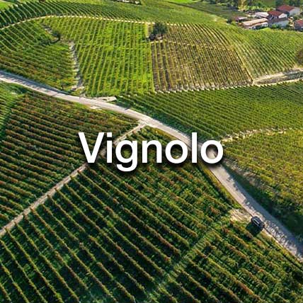 Vignolo