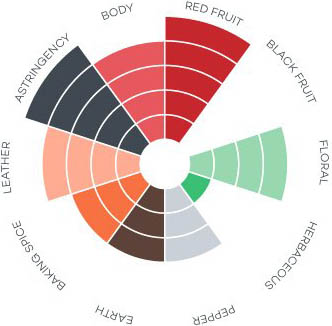 Nebbiolo - Wine Folly
