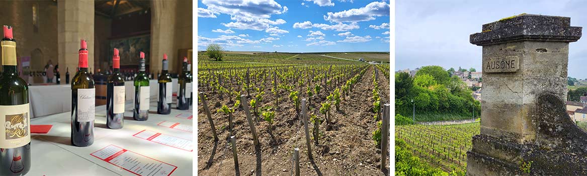 Bordeaux 2023