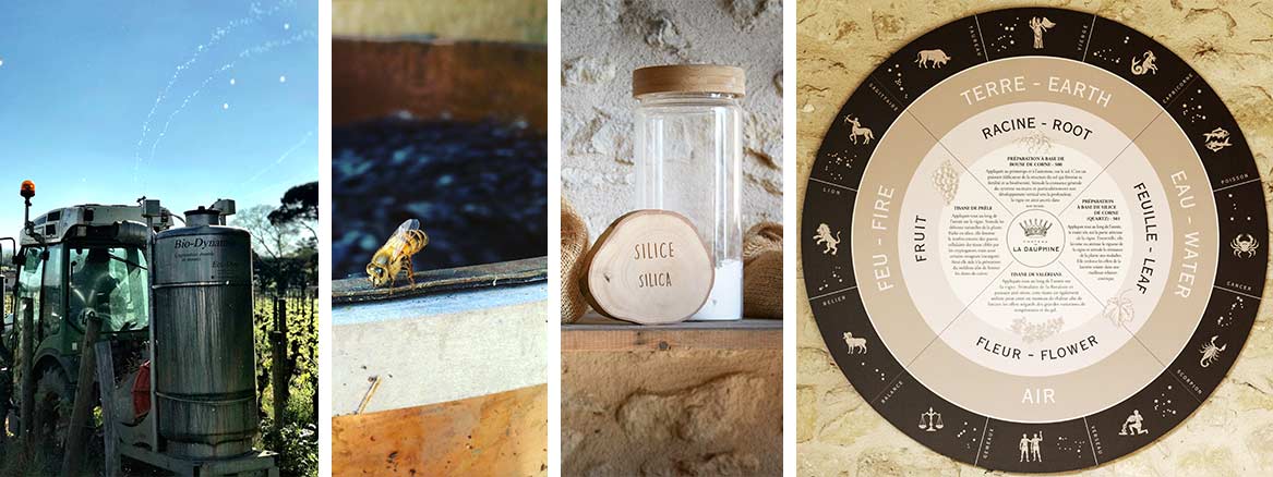 Foto's, van links naar rechts: Château de la Dauphine besproeit enkel met natuurlijke middelen, bijen zorgen voor een grotere biodiversiteit, enkel natuurlijke preparaten worden ingezet, de wijngaard wordt bewerkt in harmonie met de natuur. Foto's: Château de la Dauphine