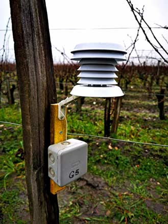 Sensor in de wijngaard van Château Montrose - Foto: Château Montrose