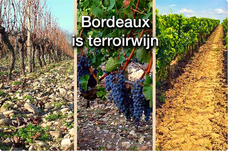 Bordeaux is terroirwijn