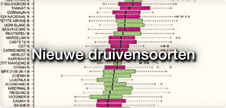 Future-proof Bordeaux: nieuwe druivensoorten