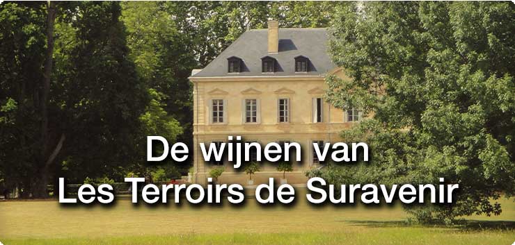 Uitgelicht: de wijnen van Les Terroirs de Suravenir