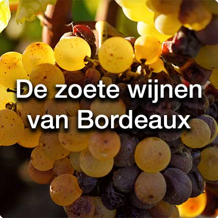 De zoete wijnen van Bordeaux